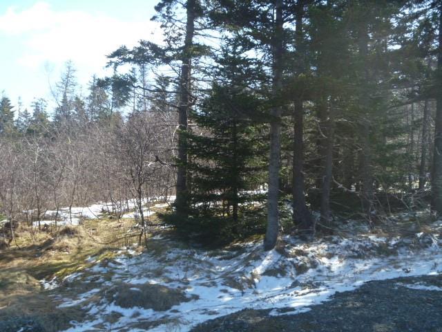 143-163 HIGH ROAD SOUTH, CARBONEAR, Newfoundland, Canada A1Y 1A4, ,0,Land,For Sale,HIGH ROAD SOUTH ,6199