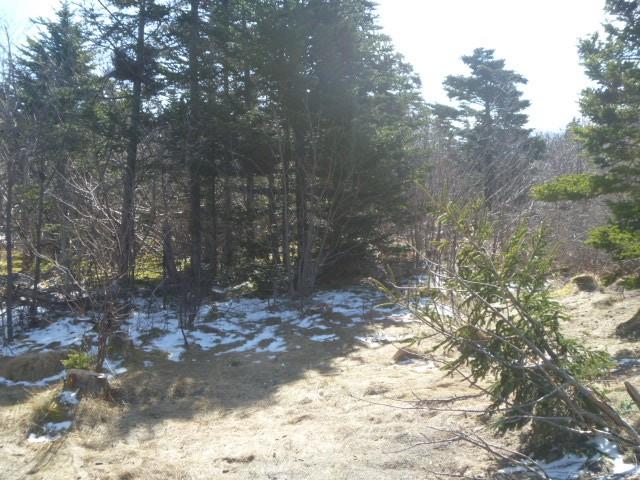 143-163 HIGH ROAD SOUTH, CARBONEAR, Newfoundland, Canada A1Y 1A4, ,0,Land,For Sale,HIGH ROAD SOUTH ,6199