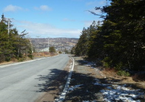 143-163 HIGH ROAD SOUTH, CARBONEAR, Newfoundland, Canada A1Y 1A4, ,0,Land,For Sale,HIGH ROAD SOUTH ,6199