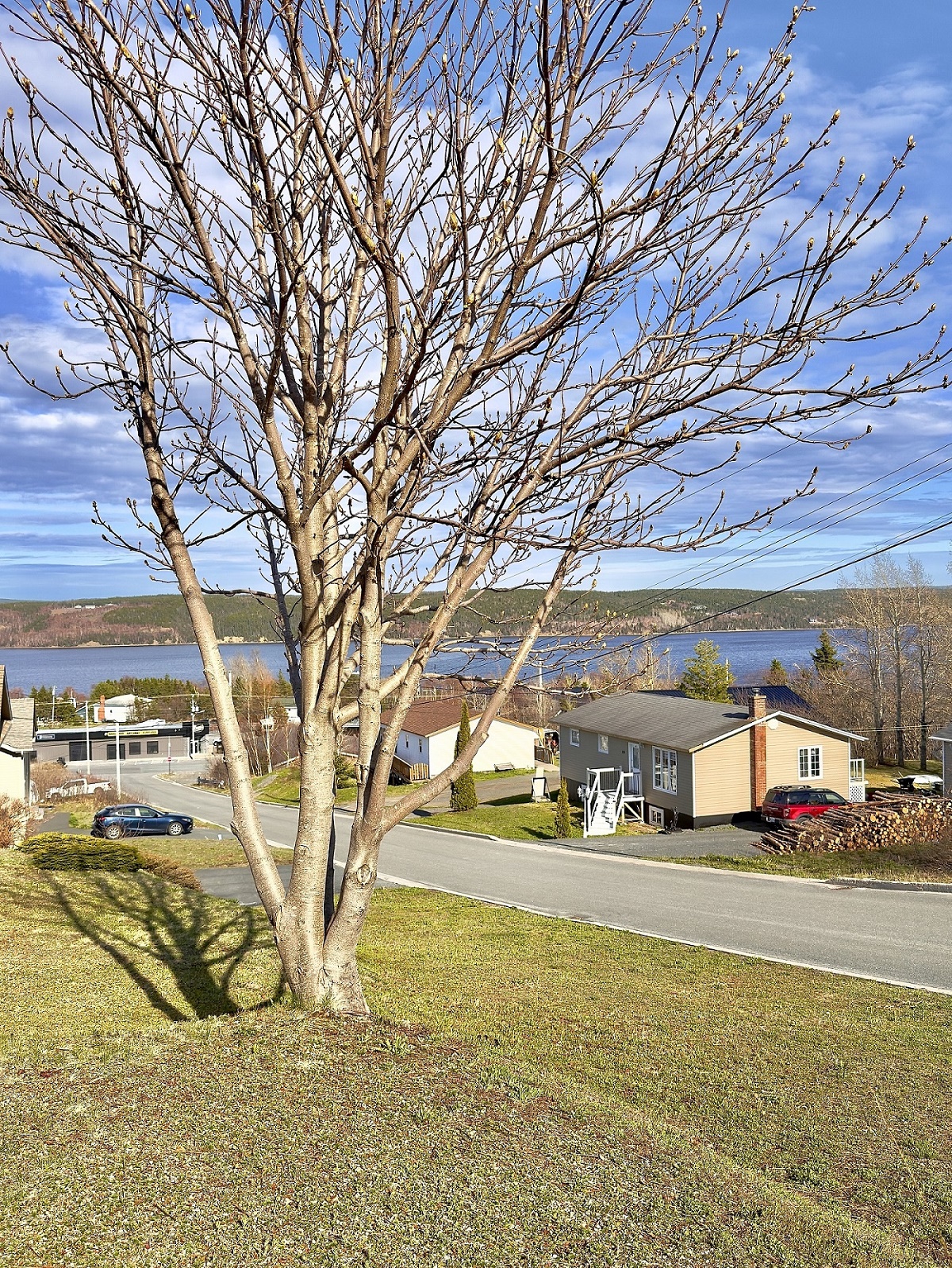 20-22 BLUNDON DRIVE, CLARENVILLE, Newfoundland, Canada A5A 4E2, ,2 BathroomsBathrooms,Residential,For Sale,BLUNDON DRIVE,6203
