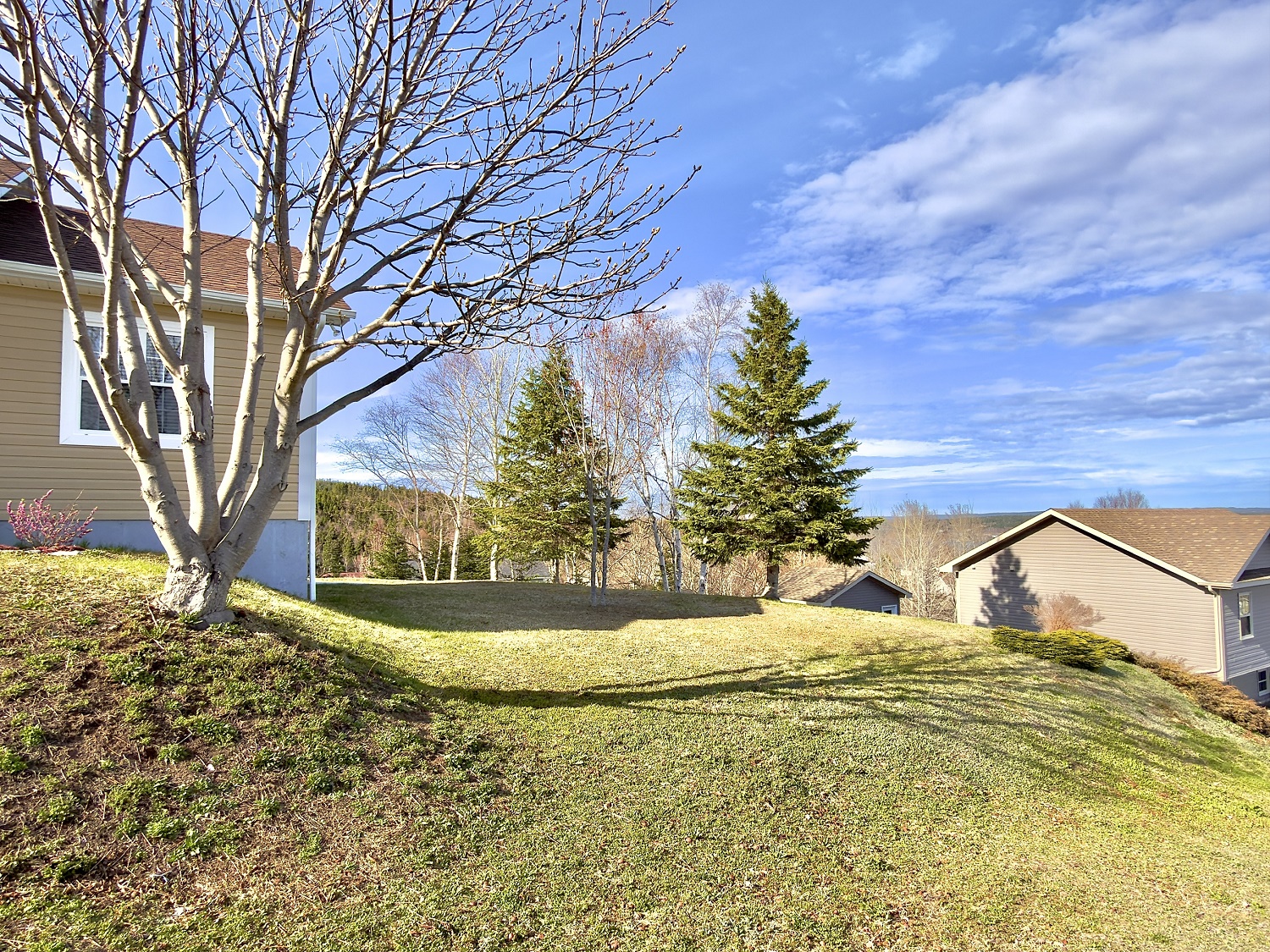 20-22 BLUNDON DRIVE, CLARENVILLE, Newfoundland, Canada A5A 4E2, ,2 BathroomsBathrooms,Residential,For Sale,BLUNDON DRIVE,6203