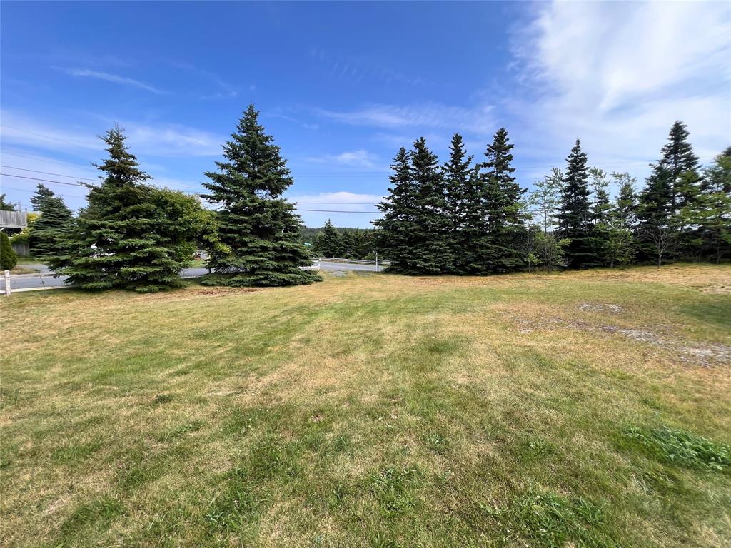 1-3 KAVANAUGHTS ROAD, CLARKE'S BEACH, Newfoundland, Canada A0A 1W0, ,1 BathroomBathrooms,Residential,For Sale,KAVANAUGHTS ROAD,6204