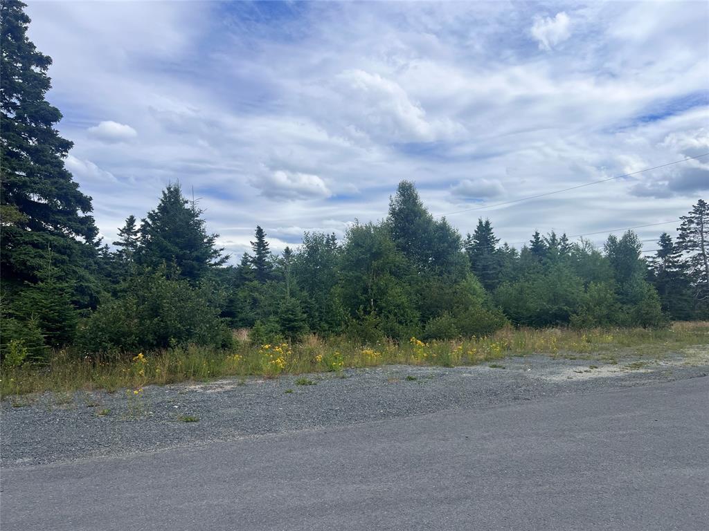 3 KENT PLACE, CLARKE'S BEACH, Newfoundland, Canada A0A 1W0, ,0,Residential,For Sale,KENT PLACE,6206