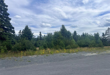 3 KENT PLACE, CLARKE'S BEACH, Newfoundland, Canada A0A 1W0, ,0,Residential,For Sale,KENT PLACE,6206 3 KENT PLACE, CLARKE'S BEACH, Newfoundland, Canada A0A 1W0, ,0,Residential,For Sale,KENT PLACE,6206