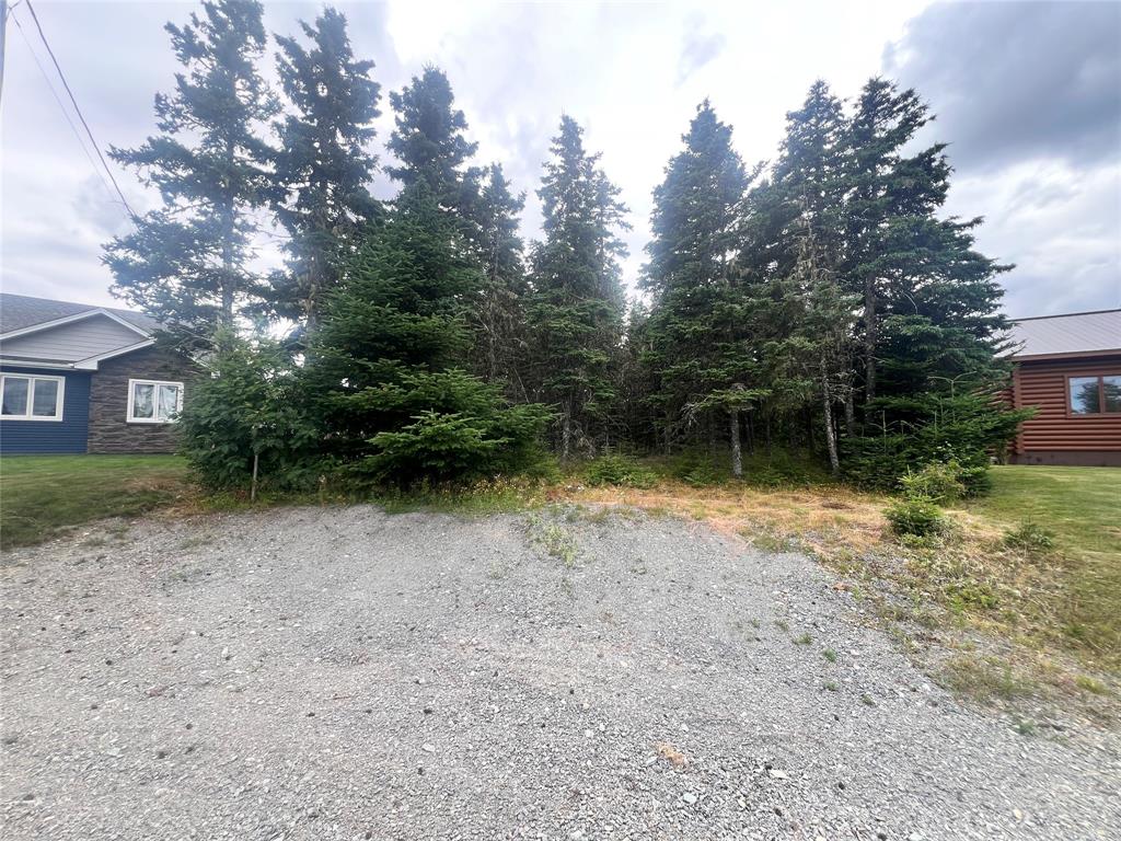 8 KENT PLACE, CLARKE'S BEACH, Newfoundland, Canada A0A 1W0, ,0,Residential,For Sale,KENT PLACE,6207