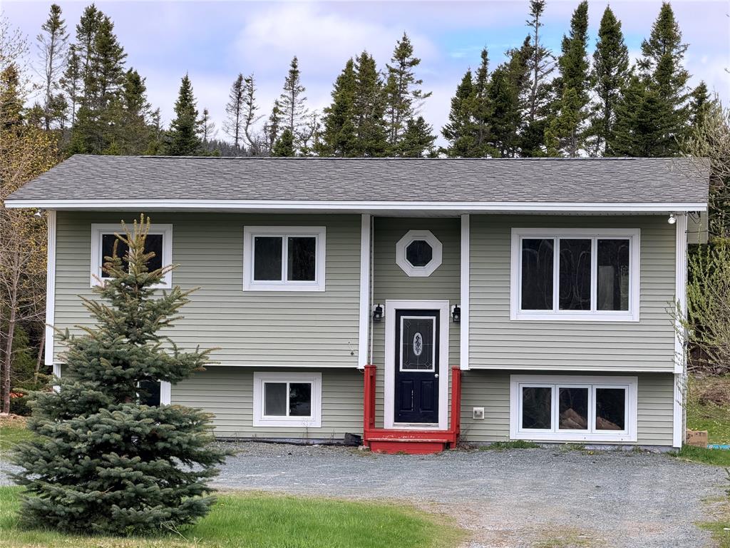 126 HODGEWATER LINE, SOUTH RIVER, Newfoundland, Canada A0A 3W0, ,1 BathroomBathrooms,Residential,For Sale,HODGEWATER LINE,6208
