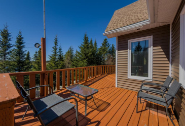 2ND DRIVEWAY OCEAN POND AVENUE, OCEAN POND, Newfoundland, Canada A0C2M0, ,1 BathroomBathrooms,Residential,For Sale,OCEAN POND AVENUE,6213