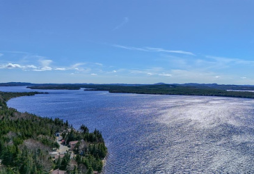 2ND DRIVEWAY OCEAN POND AVENUE, OCEAN POND, Newfoundland, Canada A0C2M0, ,1 BathroomBathrooms,Residential,For Sale,OCEAN POND AVENUE,6213
