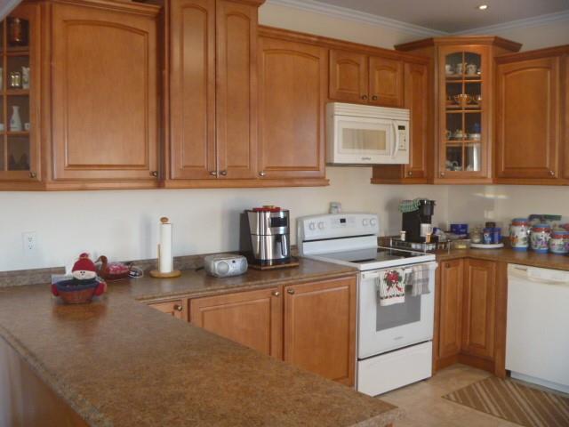 9-13 ENGLISH HILL EXTENSIOM, CARBONEAR, Newfoundland, Canada A1Y 1C2, ,1 BathroomBathrooms,Residential,For Sale,ENGLISH HILL EXTENSIOM,6214