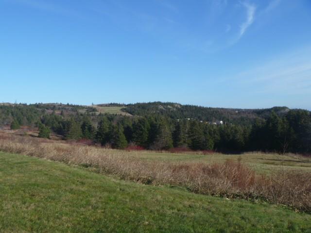 9-13 ENGLISH HILL EXTENSIOM, CARBONEAR, Newfoundland, Canada A1Y 1C2, ,1 BathroomBathrooms,Residential,For Sale,ENGLISH HILL EXTENSIOM,6214