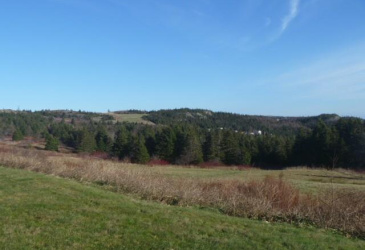 9-13 ENGLISH HILL EXTENSIOM, CARBONEAR, Newfoundland, Canada A1Y 1C2, ,1 BathroomBathrooms,Residential,For Sale,ENGLISH HILL EXTENSIOM,6214