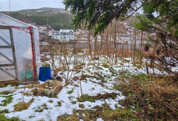 24 DRAKE'S ROAD, LAWN, Newfoundland, Canada A0E2E0, ,1 BathroomBathrooms,Residential,For Sale,DRAKE'S ROAD,6218