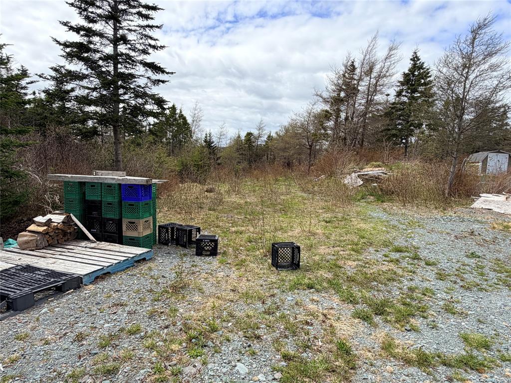 33 BEVER POND ROAD, ROACHES LINE, Newfoundland, Canada A0A 1W0, ,1 BathroomBathrooms,Residential,Reduced,BEVER POND ROAD,6220