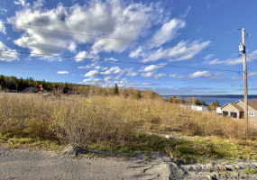 PARCEL A BEACH PATH ROAD, CLARENVILLE, Newfoundland, Canada A0E 2B0, ,0,Residential,For Sale,BEACH PATH ROAD,6223