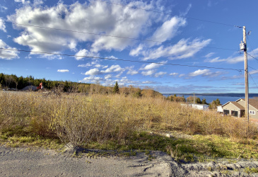 PARCEL A BEACH PATH ROAD, CLARENVILLE, Newfoundland, Canada A0E 2B0, ,0,Residential,For Sale,BEACH PATH ROAD,6223
