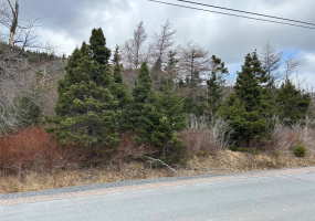 LOT # 1 MAIN ROAD, NORTH RIVER, Newfoundland, Canada A0A 3C0, ,0,Residential,For Sale,MAIN ROAD,6226