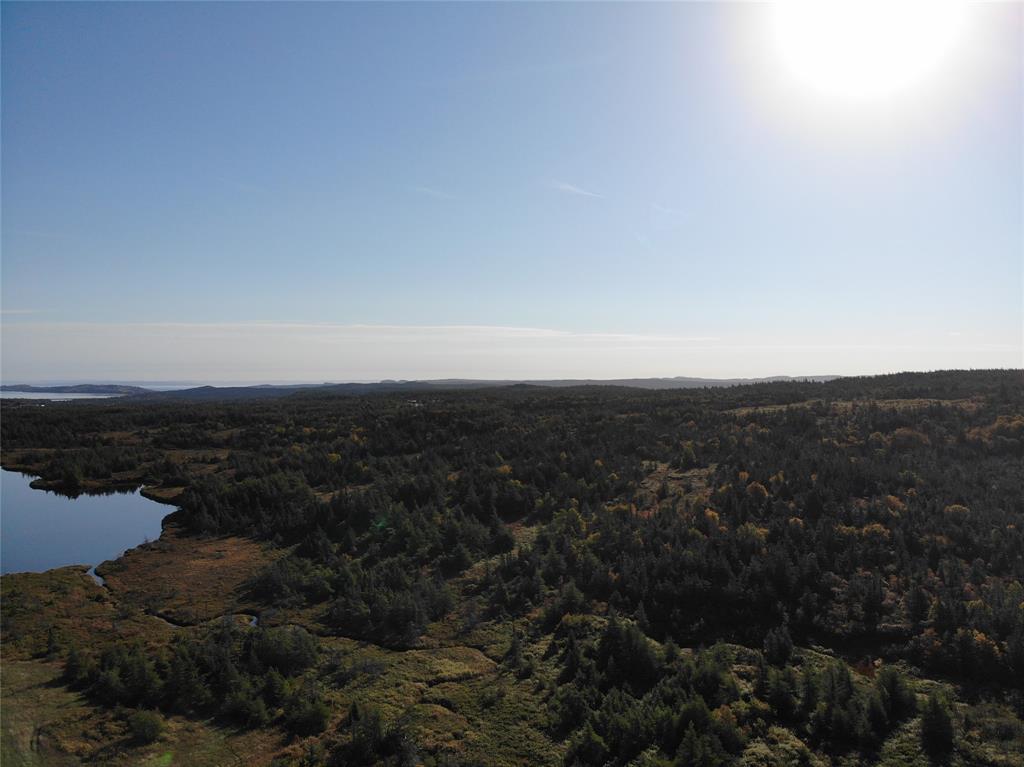 800A COUNTRY ROAD, BAY ROBERTS, Newfoundland, Canada A0A 1G0, ,0,Land,For Sale,COUNTRY ROAD,6230