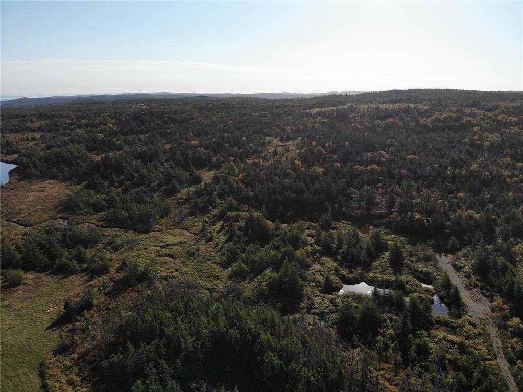 800A COUNTRY ROAD, BAY ROBERTS, Newfoundland, Canada A0A 1G0, ,0,Land,For Sale,COUNTRY ROAD,6230