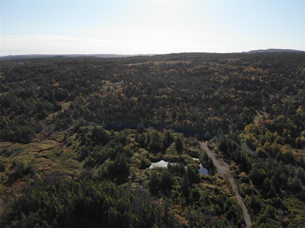 800A COUNTRY ROAD, BAY ROBERTS, Newfoundland, Canada A0A 1G0, ,0,Land,For Sale,COUNTRY ROAD,6230