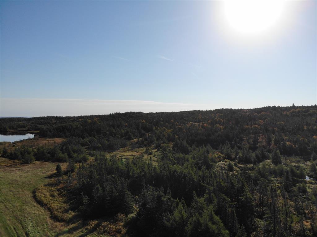 800A COUNTRY ROAD, BAY ROBERTS, Newfoundland, Canada A0A 1G0, ,0,Land,For Sale,COUNTRY ROAD,6230