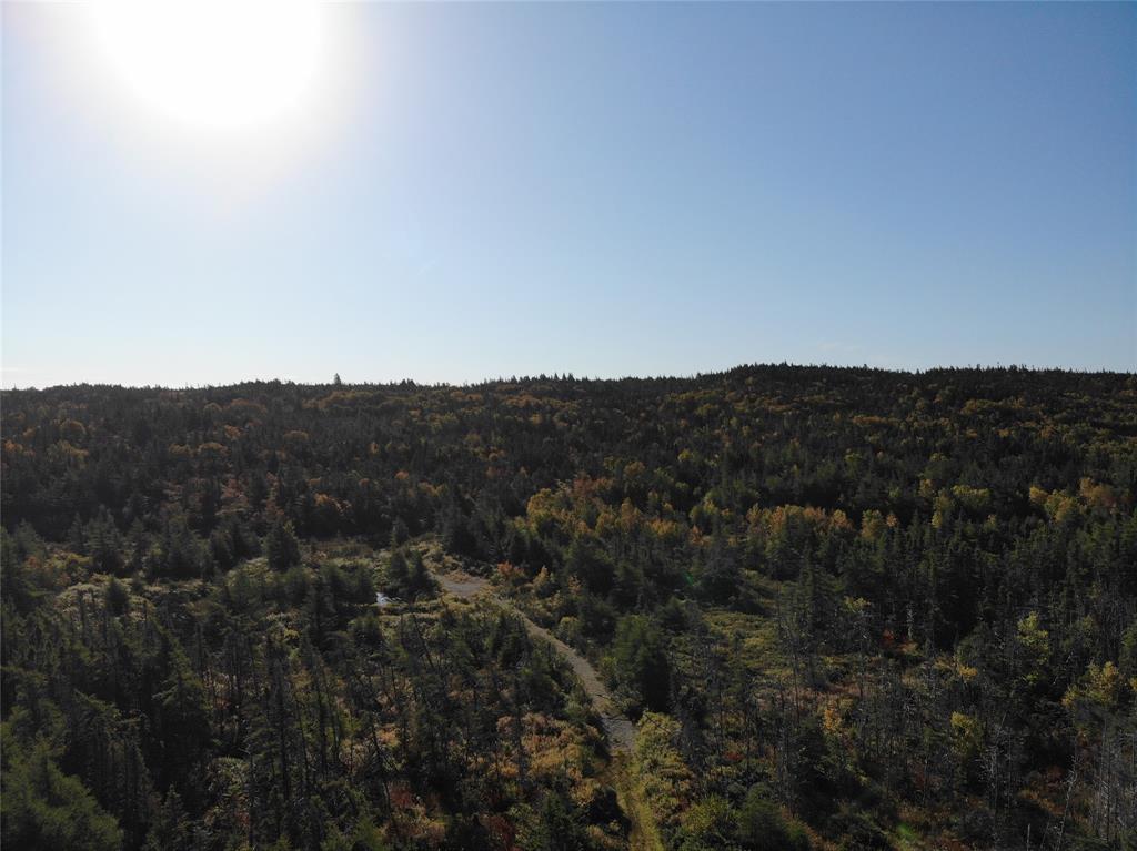 800A COUNTRY ROAD, BAY ROBERTS, Newfoundland, Canada A0A 1G0, ,0,Land,For Sale,COUNTRY ROAD,6230