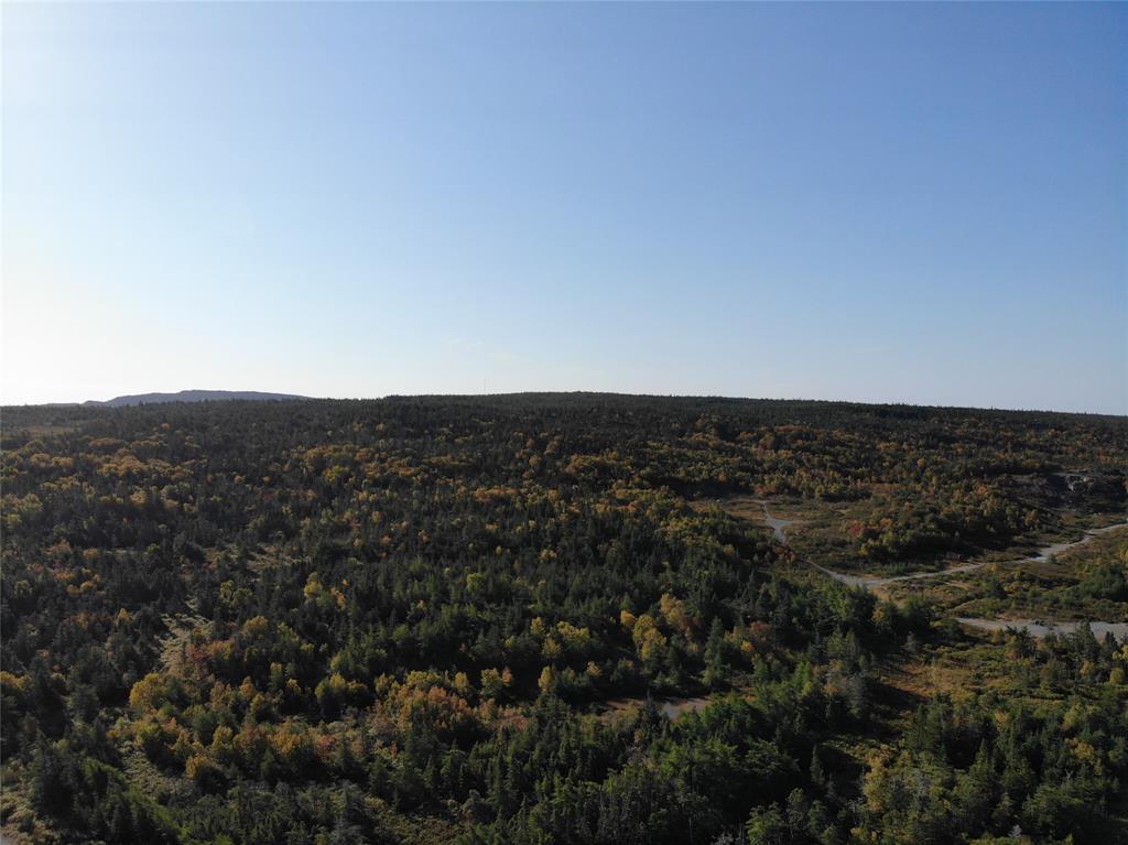 800A COUNTRY ROAD, BAY ROBERTS, Newfoundland, Canada A0A 1G0, ,0,Land,For Sale,COUNTRY ROAD,6230