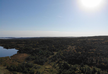 800A COUNTRY ROAD, BAY ROBERTS, Newfoundland, Canada A0A 1G0, ,0,Land,For Sale,COUNTRY ROAD,6230