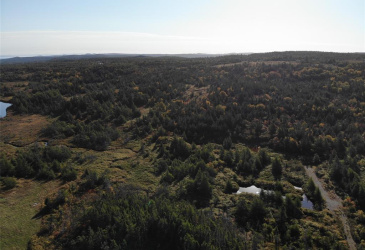 800A COUNTRY ROAD, BAY ROBERTS, Newfoundland, Canada A0A 1G0, ,0,Land,For Sale,COUNTRY ROAD,6230