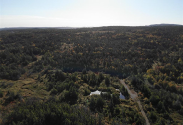 800A COUNTRY ROAD, BAY ROBERTS, Newfoundland, Canada A0A 1G0, ,0,Land,For Sale,COUNTRY ROAD,6230