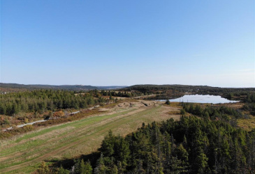 800A COUNTRY ROAD, BAY ROBERTS, Newfoundland, Canada A0A 1G0, ,0,Land,For Sale,COUNTRY ROAD,6230