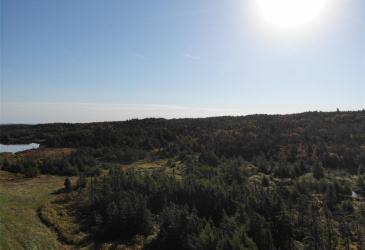 800A COUNTRY ROAD, BAY ROBERTS, Newfoundland, Canada A0A 1G0, ,0,Land,For Sale,COUNTRY ROAD,6230