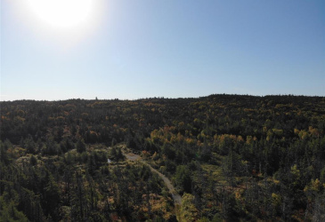 800A COUNTRY ROAD, BAY ROBERTS, Newfoundland, Canada A0A 1G0, ,0,Land,For Sale,COUNTRY ROAD,6230