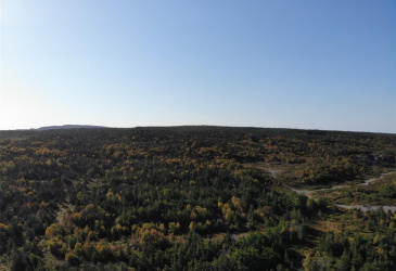 800A COUNTRY ROAD, BAY ROBERTS, Newfoundland, Canada A0A 1G0, ,0,Land,For Sale,COUNTRY ROAD,6230