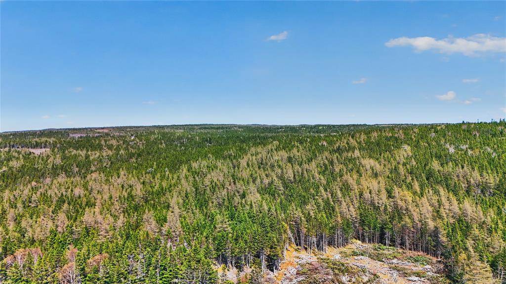 637-693 SMITH SOUND ROAD, BARTON, Newfoundland, Canada A0C 1K0, ,0,Residential,Sale Pending,SMITH SOUND ROAD,6231