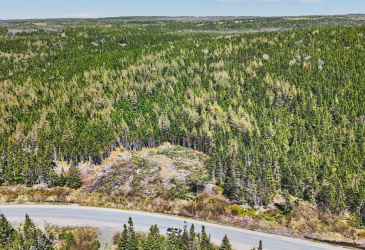 637-693 SMITH SOUND ROAD, BARTON, Newfoundland, Canada A0C 1K0, ,0,Residential,Sale Pending,SMITH SOUND ROAD,6231