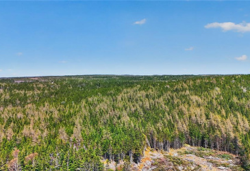 637-693 SMITH SOUND ROAD, BARTON, Newfoundland, Canada A0C 1K0, ,0,Residential,Sale Pending,SMITH SOUND ROAD,6231