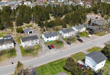 4 WILSON STREET, MARYSTOWN, Newfoundland, Canada A0E 2M0, ,1 BathroomBathrooms,Residential,For Sale,WILSON STREET,6232