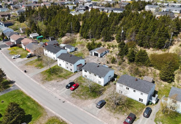 4 WILSON STREET, MARYSTOWN, Newfoundland, Canada A0E 2M0, ,1 BathroomBathrooms,Residential,For Sale,WILSON STREET,6232