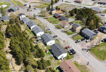 6 WILSON STREET, MARYSTOWN, Newfoundland, Canada A0E 2M0, ,1 BathroomBathrooms,Residential,For Sale,WILSON STREET,6233