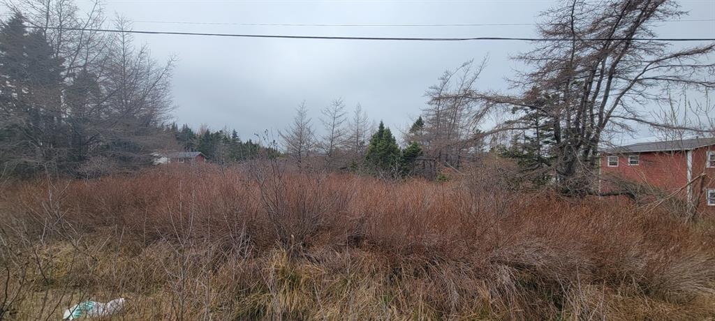 390 MAIN STREET, BURIN, Newfoundland, Canada A0E 1E0, ,0,Residential,For Sale,MAIN STREET,6241