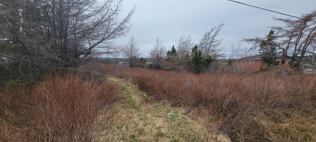 390 MAIN STREET, BURIN, Newfoundland, Canada A0E 1E0, ,0,Residential,For Sale,MAIN STREET,6241