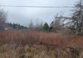 390 MAIN STREET, BURIN, Newfoundland, Canada A0E 1E0, ,0,Residential,For Sale,MAIN STREET,6241