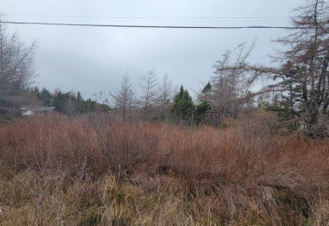390 MAIN STREET, BURIN, Newfoundland, Canada A0E 1E0, ,0,Residential,For Sale,MAIN STREET,6241