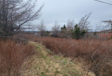 390 MAIN STREET, BURIN, Newfoundland, Canada A0E 1E0, ,0,Residential,For Sale,MAIN STREET,6241