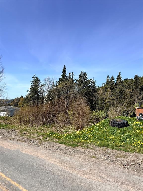 0 MAIN ROAD, CLIFTON, Newfoundland, Canada A0C 1G0, ,0,Residential,For Sale,MAIN ROAD,6246