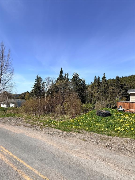 0 MAIN ROAD, CLIFTON, Newfoundland, Canada A0C 1G0, ,0,Residential,For Sale,MAIN ROAD,6246