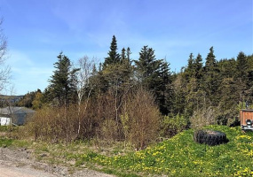 0 MAIN ROAD, CLIFTON, Newfoundland, Canada A0C 1G0, ,0,Residential,For Sale,MAIN ROAD,6246
