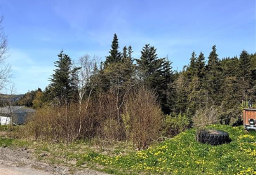 0 MAIN ROAD, CLIFTON, Newfoundland, Canada A0C 1G0, ,0,Residential,For Sale,MAIN ROAD,6246