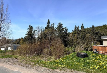 0 MAIN ROAD, CLIFTON, Newfoundland, Canada A0C 1G0, ,0,Residential,For Sale,MAIN ROAD,6246