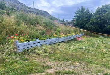 20 FRESHWATER ROAD, CARBONEAR, Newfoundland, Canada A1Y 1C5, ,0,Residential,For Sale,FRESHWATER ROAD,6250